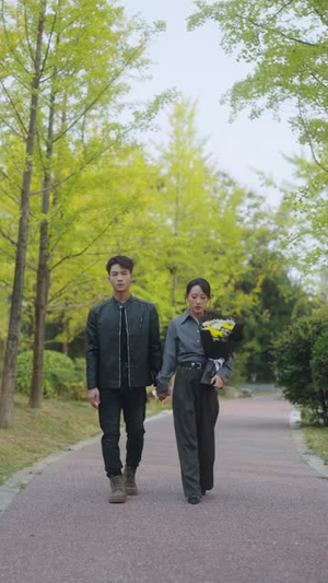 向光而行(82集) 向光而行(82集)免费短剧完整版
