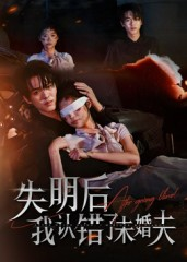 失明后我认错了未婚夫(34集) 失明后我认错了未婚夫(34集)短剧