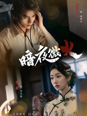 暗夜微火(80集 暗夜微火(80集剧好看短剧推荐