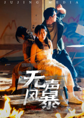 无声风暴（33集）短剧精彩不断