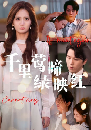 千里莺啼绿映红(63集) 千里莺啼绿映红(63集)剧好看短剧推荐