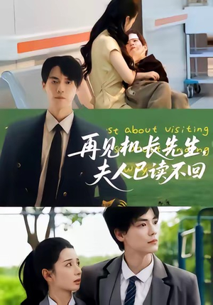 再见机长先生夫人已读不回（62集）超好看短剧推荐