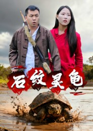 石纹灵龟(30集) 石纹灵龟(30集)爆款短剧一起追