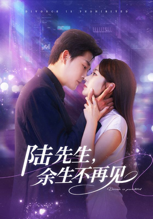 陆先生,余生不再见(88集) 陆先生,余生不再见(88集)短剧全集抢先看