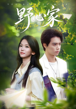 野心家（65集）精彩短剧热播中