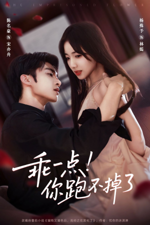 乖一点!你跑不掉了(80集) 乖一点!你跑不掉了(80集)好看的短剧