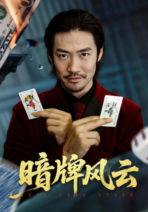 暗牌风云(60集) 暗牌风云(60集)全集完整版