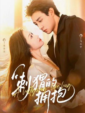 刺猬的拥抱（71集）每天分享短剧