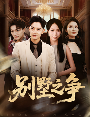 别墅之争（59集）热门短剧分享