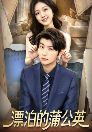 漂泊的蒲公英(60集) 漂泊的蒲公英(60集)红果短剧免费看