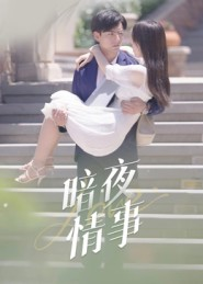 暗夜情事(100集) 暗夜情事(100集)好看的短剧分享