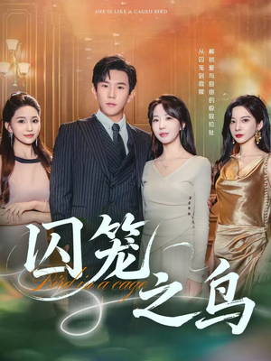 囚笼之鸟（52集）百度网盘在线看