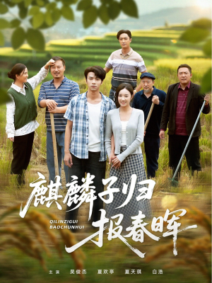 麒麟子归报春晖（36集）精彩短剧追不停