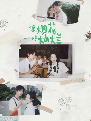 像烟花一样灿烂(60集) 像烟花一样灿烂(60集)每天短剧分享