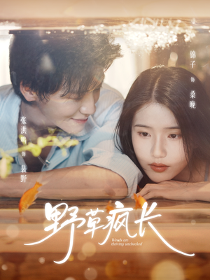 野草疯长(71集) 野草疯长(71集)短剧爆款推荐