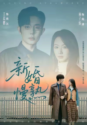 新婚慢熟(105集) 新婚慢熟(105集)怎么看全集