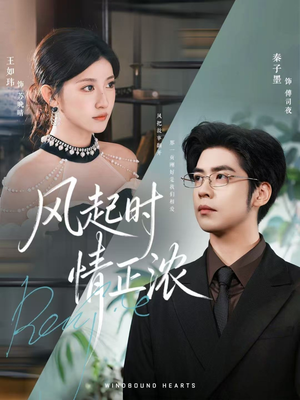 风起时情正浓(79集) 风起时情正浓(79集)超级好看的短剧