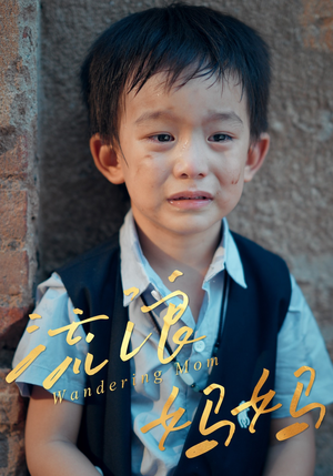 流浪妈妈(30集) 流浪妈妈(30集)看短剧放松一下