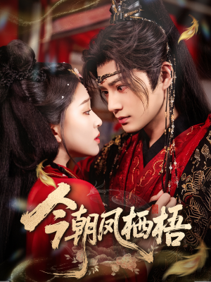 今朝凤栖梧(68集) 今朝凤栖梧(68集)短剧免费分享