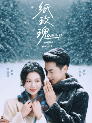 纸玫瑰第二部(80集) 纸玫瑰第二部(80集)在线免费观影