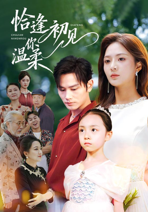 恰逢初见你温柔（86集）短剧在线观看