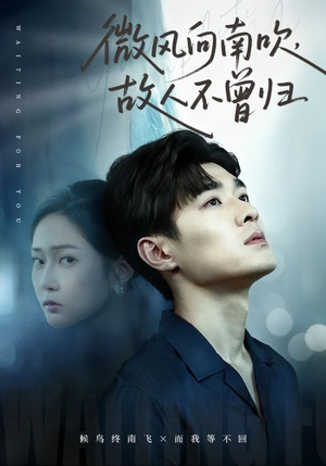 微风向南吹,故人不曾归(72集) 微风向南吹,故人不曾归(72集)最火短剧热播中