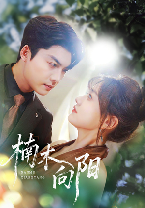 楠木向阳(70集) 楠木向阳(70集)热门短剧免费看