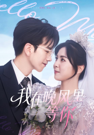 我在晚风里等你（65集）更新时间