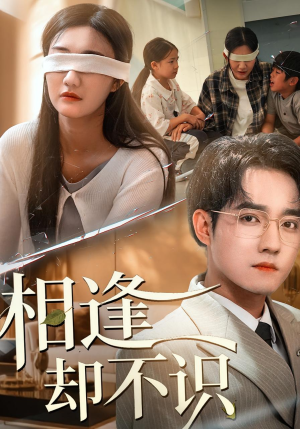 相逢却不识(77集) 相逢却不识(77集)短剧推荐上热门