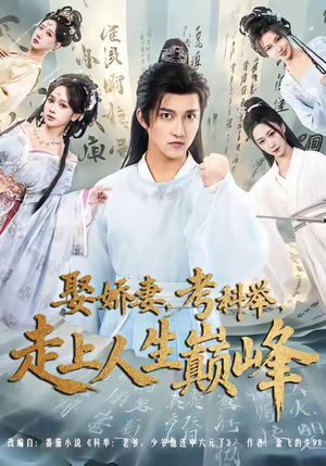 娶娇妻,考科举,走上人生巅峰(80集) 娶娇妻,考科举,走上人生巅峰(80集)红果免费短剧