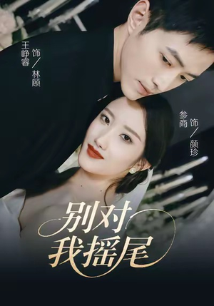别对我摇尾(59集) 别对我摇尾(59集)精彩短剧来袭