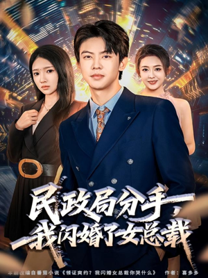民政局分手，我闪婚了女总裁（72集）推荐好短剧