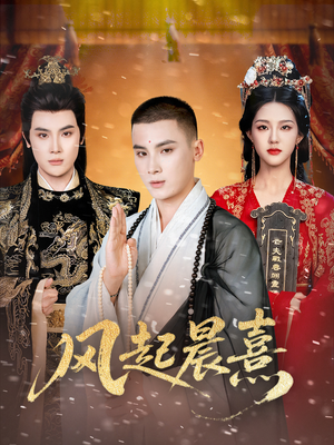 风起晨熹(63集) 风起晨熹(63集)演的怎么样