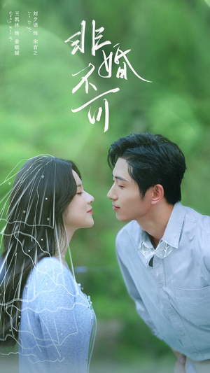 非婚不可（65集）短剧推荐更新中