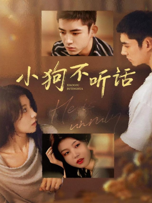小狗不听话(70集) 小狗不听话(70集)我真的爱了