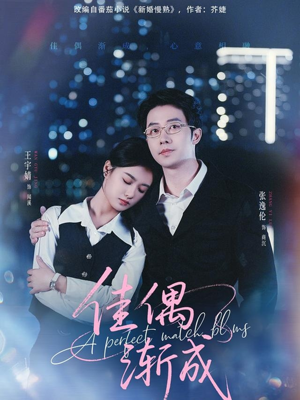 佳偶渐成(71集) 佳偶渐成(71集)一口气看完