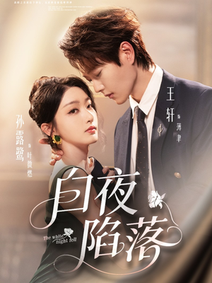 白夜陷落（81集）1-102集