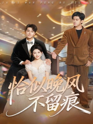 恰似晚风不留痕（61集）一起追短剧吧