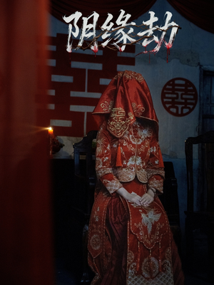 阴缘劫（25集）免费观看全集