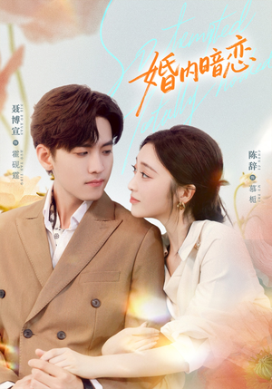 婚内暗恋（80集）在线看免费版