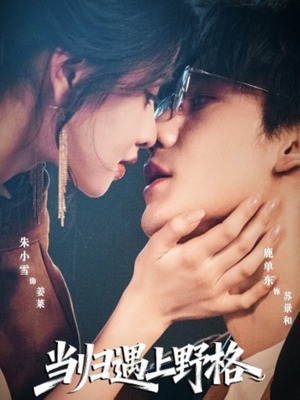 当归遇上野格(66集) 当归遇上野格(66集)越看越好看短剧