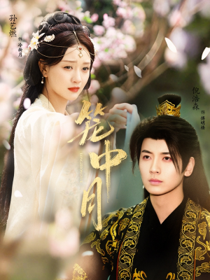 笼中月（65集）剧情简介