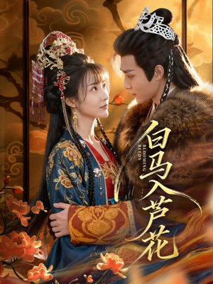 白马入芦花(59集) 白马入芦花(59集)免费观看