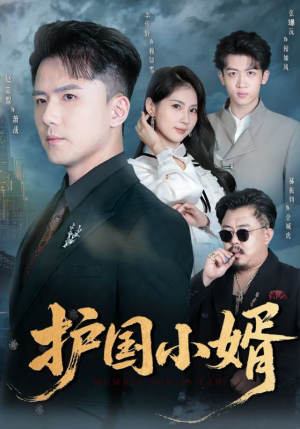 护国小婿（60集）推荐好短剧