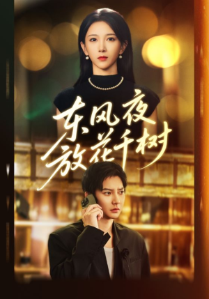 东风夜放花千树（91集）看过的人都说好