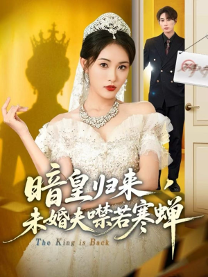 暗皇归来，未婚夫噤若寒蝉（65集）短剧看全集