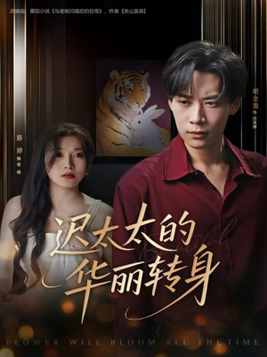 迟太太的华丽转身(80集) 迟太太的华丽转身(80集)好看上头的短剧