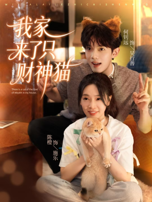 我家来了只财神猫（80集）番茄短剧看全集