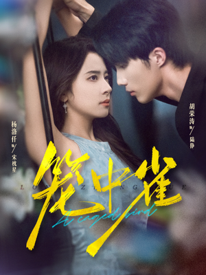 笼中雀(65集) 笼中雀(65集)免费在线看