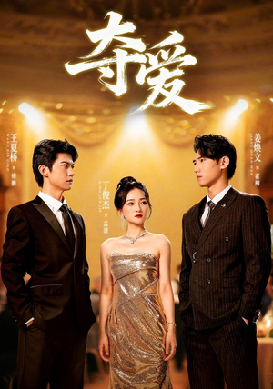 夺爱(55集) 夺爱(55集)演的怎么样